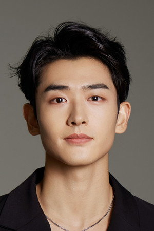 Cheng Feng